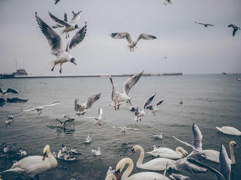 Healthcare Appointment App